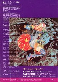VIRTUAL RABBIT PRESS B
