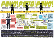 2012 PEVO report A