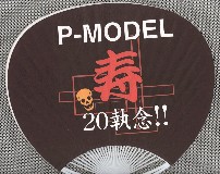 P-MODEL OR DIE 7